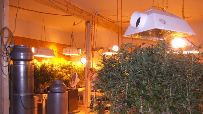 Drug Ring Teen Suspec_Angu.jpg